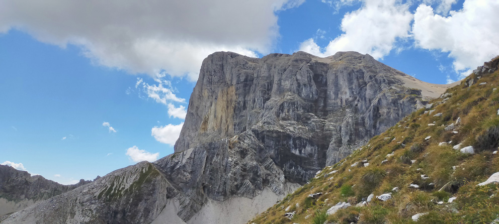 Réservation le grand bleuet